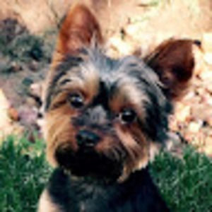 Meet your Posher, Cody